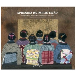 APRENDIZ DA IMPERFEIÇÃO PIETER VAN OUDHEUSDEN ED PULO DO GATO