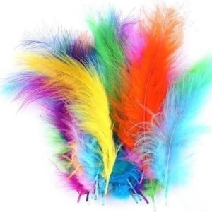 PENA COLORIDA 15CM 60 UNIDS