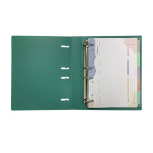 FICHÁRIO 96 FOLHAS E 5 DIV VERDE A4 YES