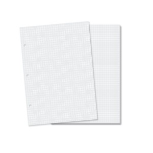 REFIL MIOLO QUADRICULADO BRANCO CADERNO ARGOLADO FINA IDEIA