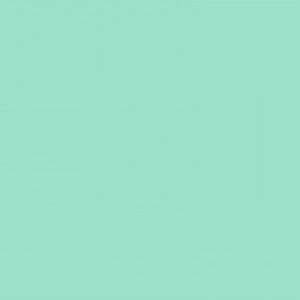 ROLO DE PAPEL CONTACT PVC 45CM X 10M VERDE PASTEL